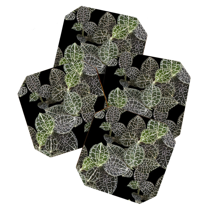 Elegant leaf skeleton foliage on black Coaster Gallery Image 1