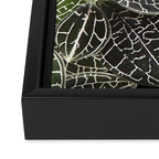 Elegant leaf skeleton foliage on black Framed Canvas Print Gallery Image 3
