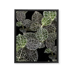 Elegant leaf skeleton foliage on black Framed Canvas Print Gallery Image 8