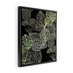 Elegant leaf skeleton foliage on black Framed Canvas Print Gallery Image 2
