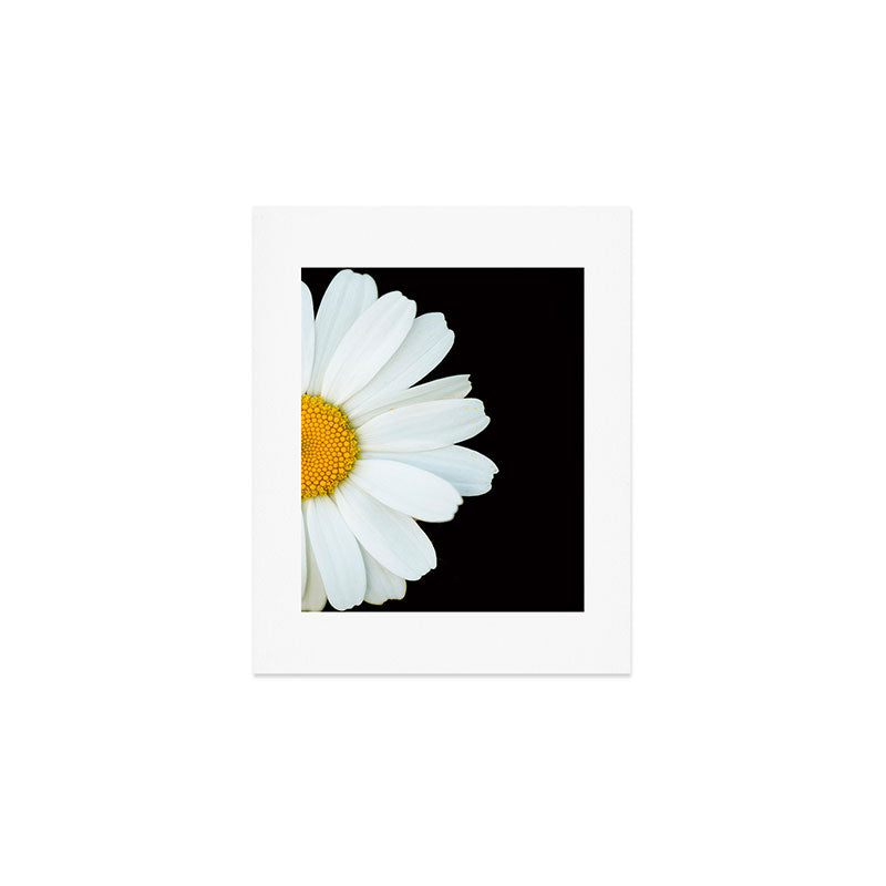 Hello Daisy - White Flower Black Background #decor #society6 #buyart Art Print Gallery Image 1