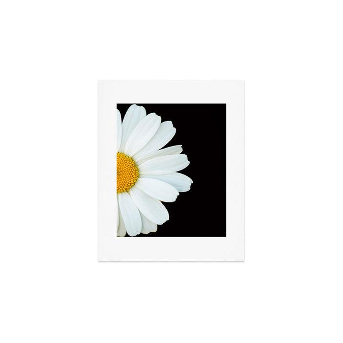 Hello Daisy - White Flower Black Background #decor #society6 #buyart Art Print Gallery Image 1