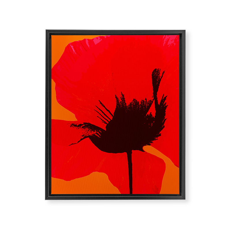 Large Red Poppy Orange Background #decor #society6 #buyart Framed Canvas Print Gallery Image 8