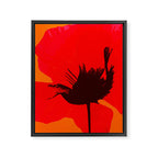 Large Red Poppy Orange Background #decor #society6 #buyart Framed Canvas Print Gallery Image 8