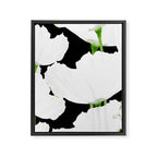 Large White Poppies on Black Background #decor #society6 #buyart Framed Canvas Print Gallery Image 8