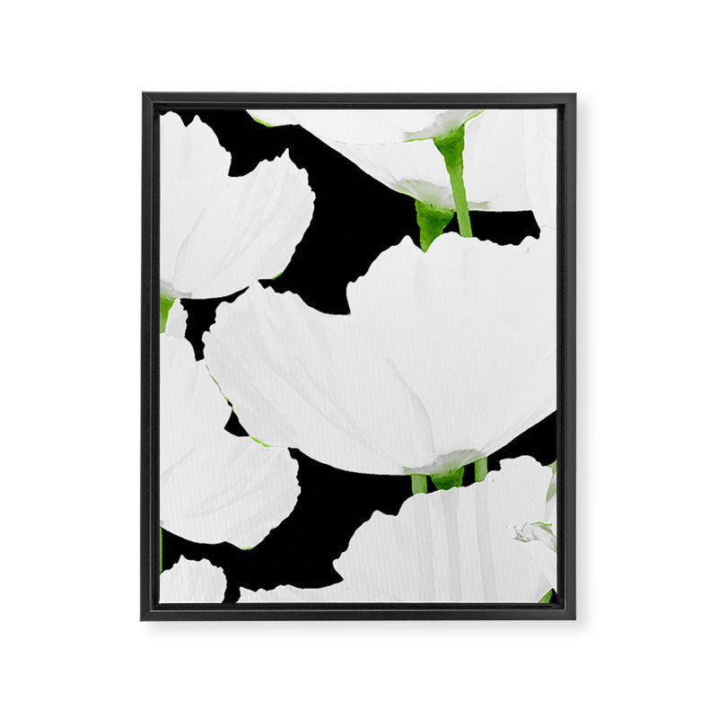 Large White Poppies on Black Background #decor #society6 #buyart Framed Canvas Print Gallery Image 8