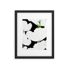 Large White Poppies on Black Background #decor #society6 #buyart Framed Art Print Gallery Image 6