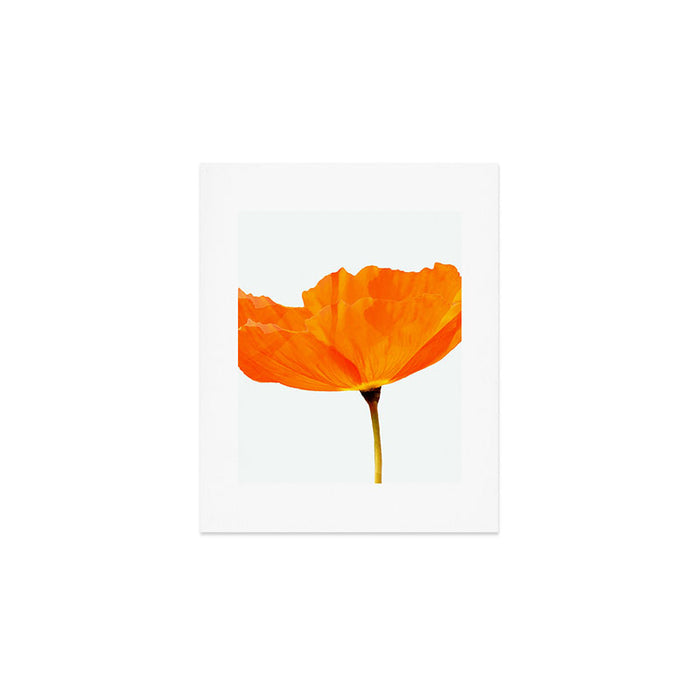 One And Only - Orange Poppy White Background #decor #society6 #buyart Art Print Gallery Image 1