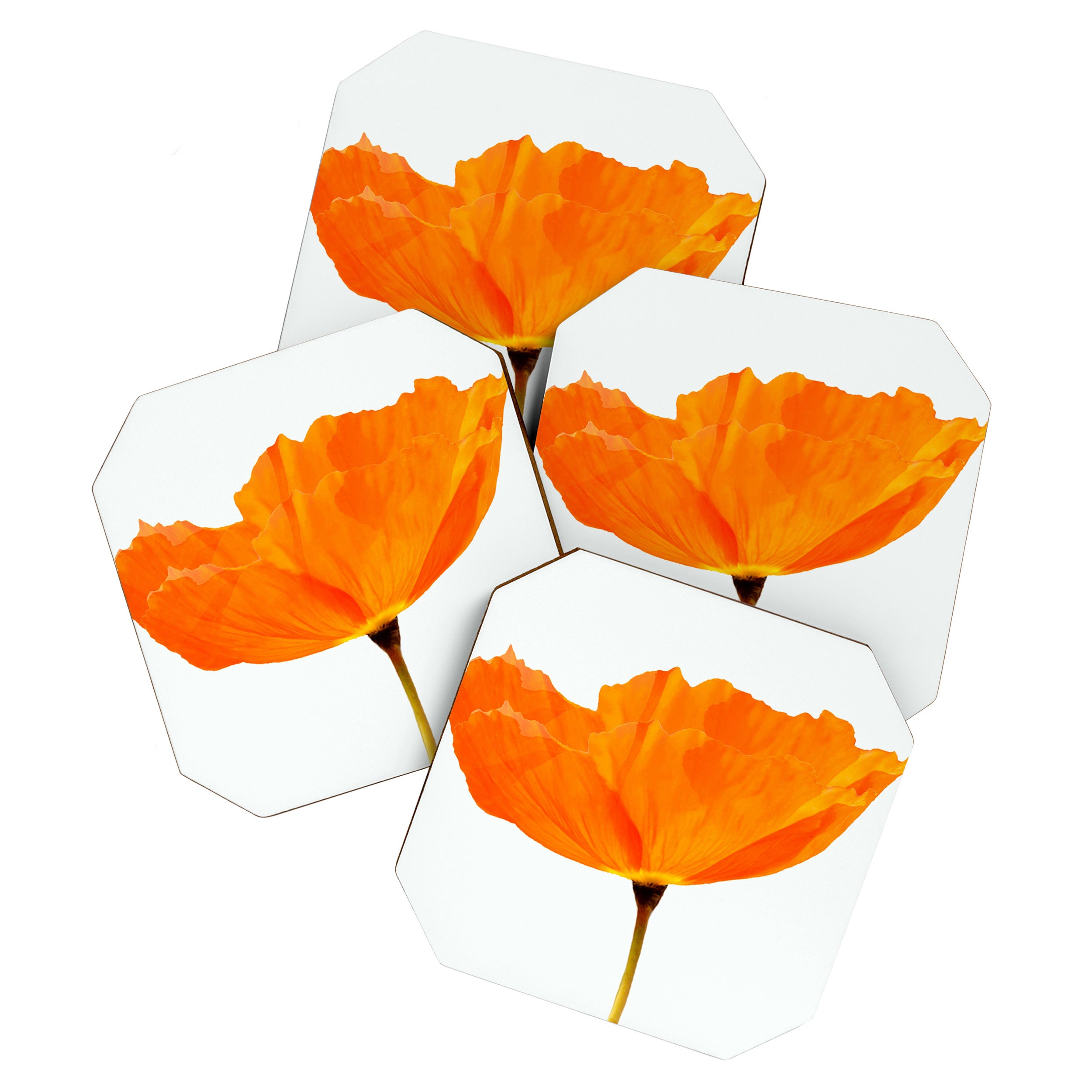 One And Only - Orange Poppy White Background #decor #society6 #buyart Coaster Gallery Image 1
