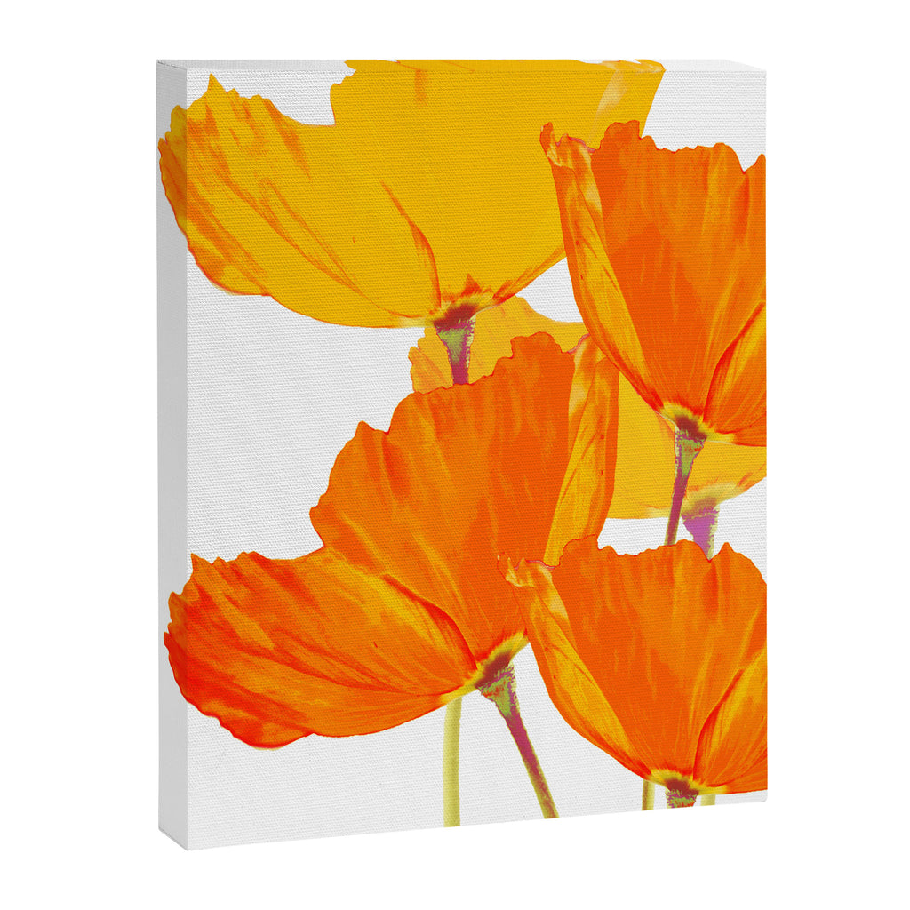 Orange and Yellow Poppies On A White Background #decor #society6 #buyart Canvas Print Gallery Image 8
