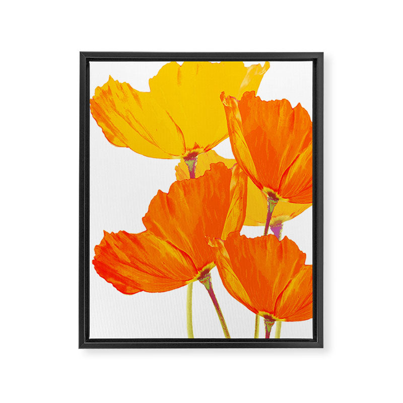 Orange and Yellow Poppies On A White Background #decor #society6 #buyart Framed Canvas Print Gallery Image 8