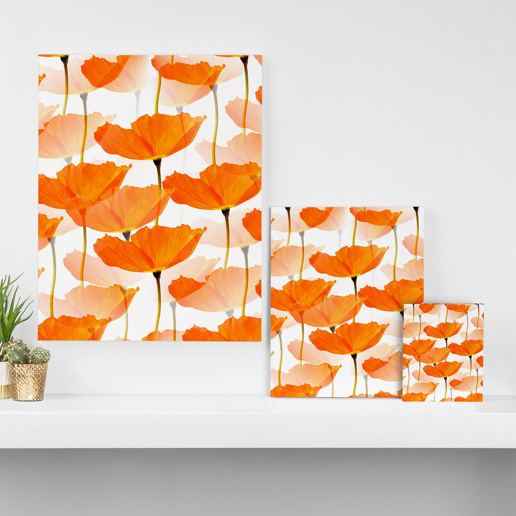 Orange Poppies On A White Background #decor #society6 #buyart Canvas Print Gallery Image 3