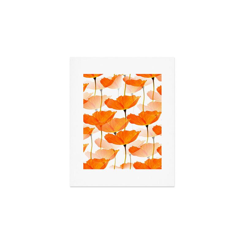 Orange Poppies On A White Background #decor #society6 #buyart Art Print Gallery Image 1