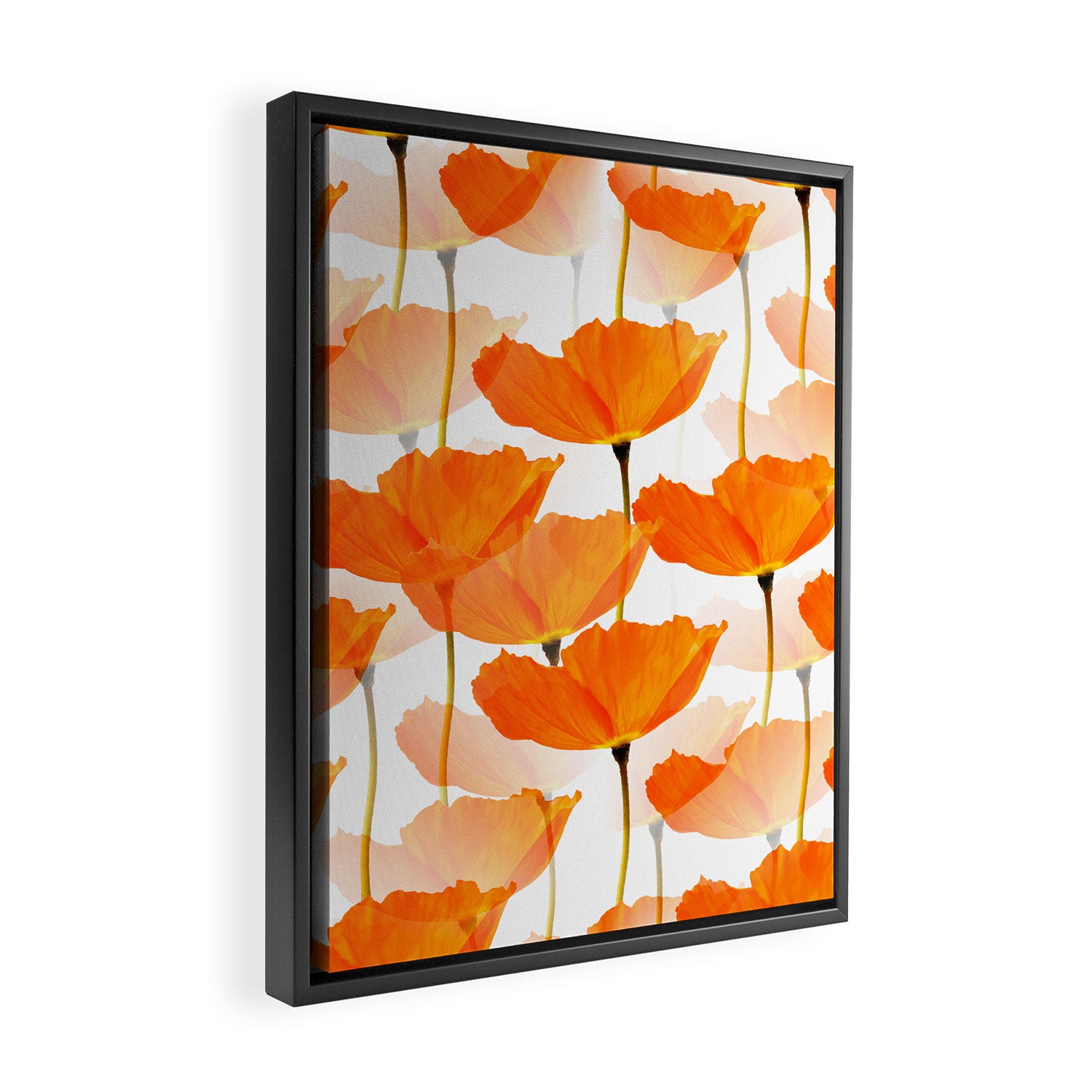 Orange Poppies On A White Background #decor #society6 #buyart Framed Canvas Print Gallery Image 2