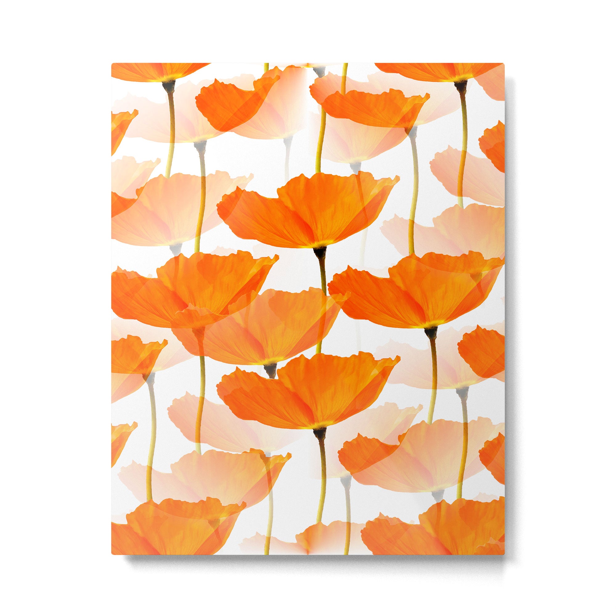 Orange Poppies On A White Background #decor #society6 #buyart Metal Print Gallery Image 6