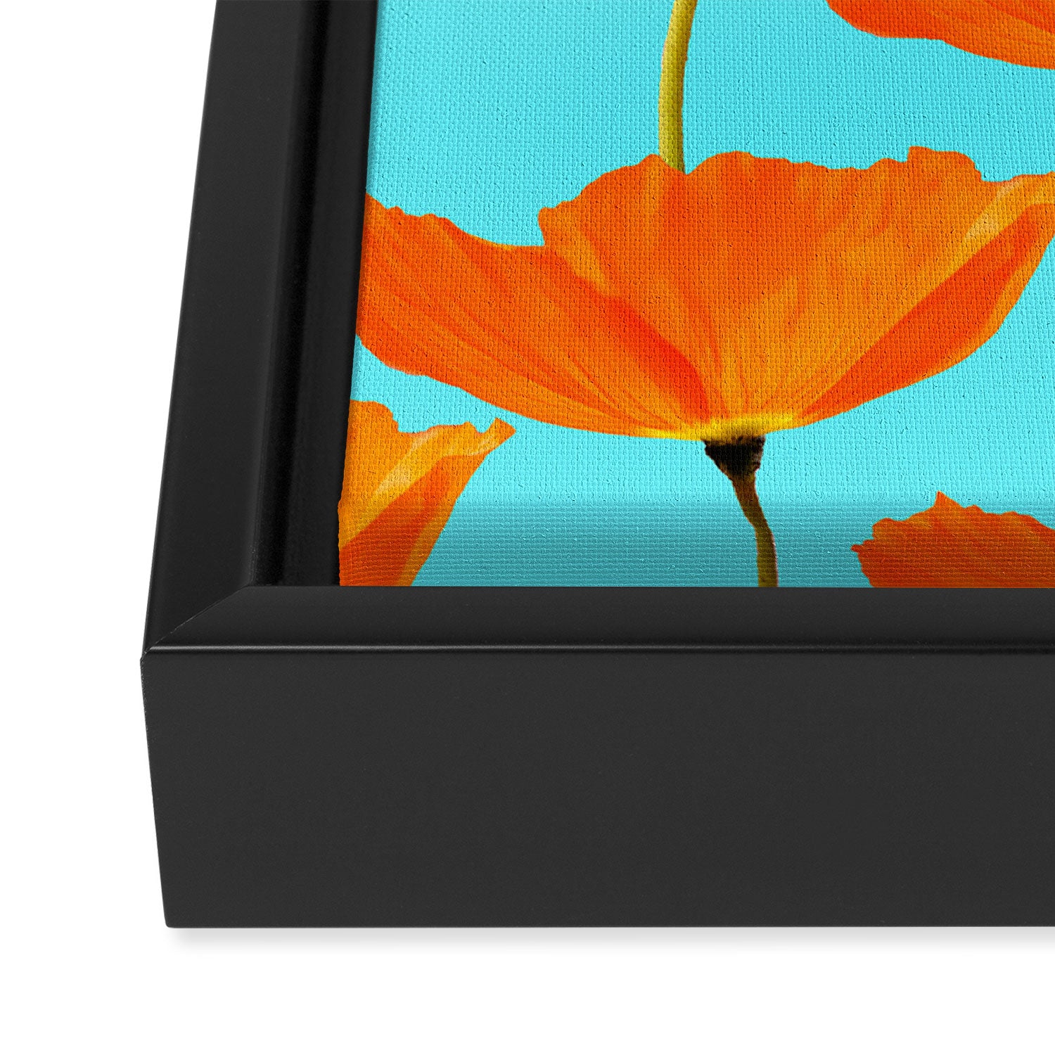 Poppies On A Turquoise Background #decor #society6 #buyart Framed Canvas Print Gallery Image 3