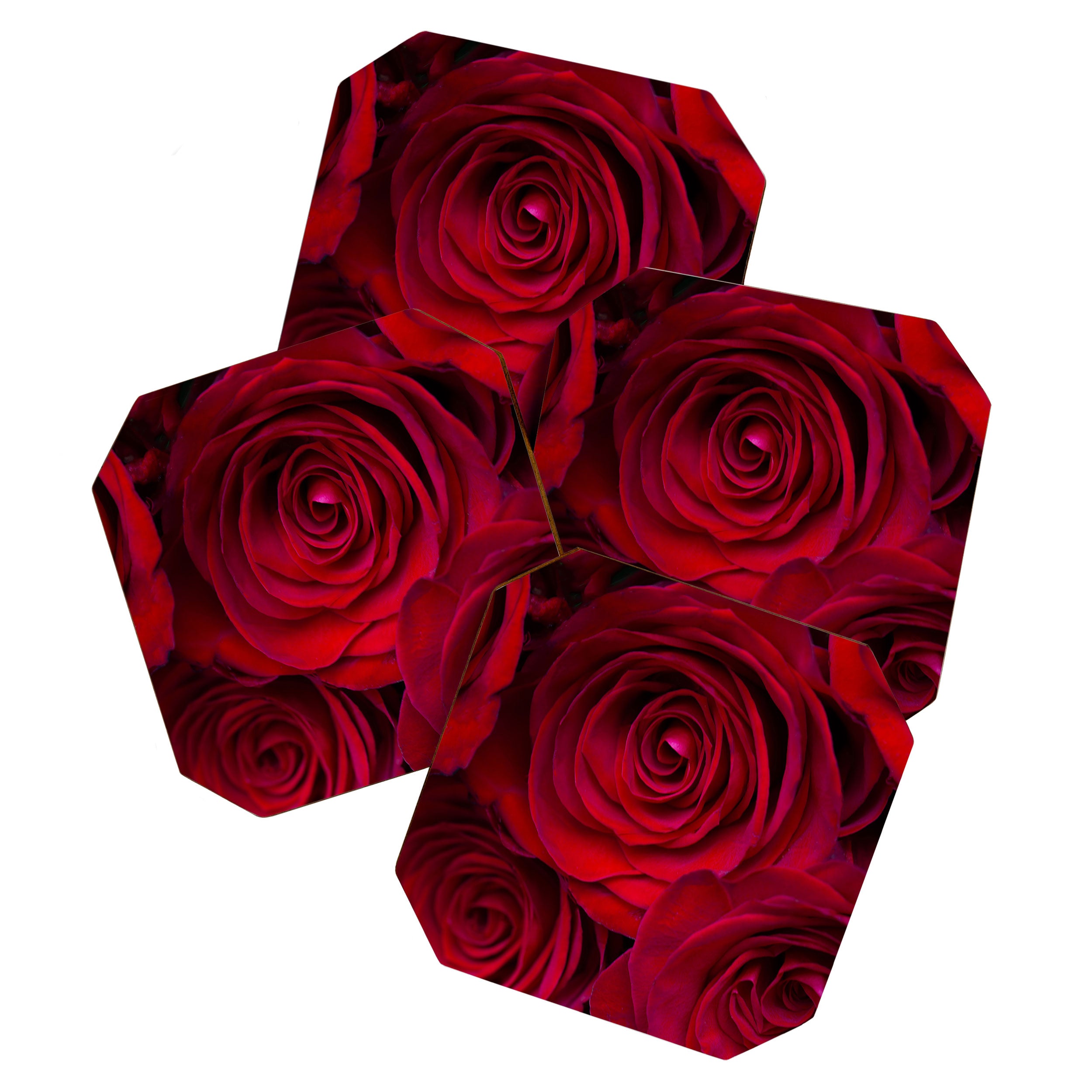Red roses Coaster Gallery Image 1