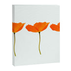 Three Orange Poppy Flowers White Background  Canvas Print Gallery Image 8