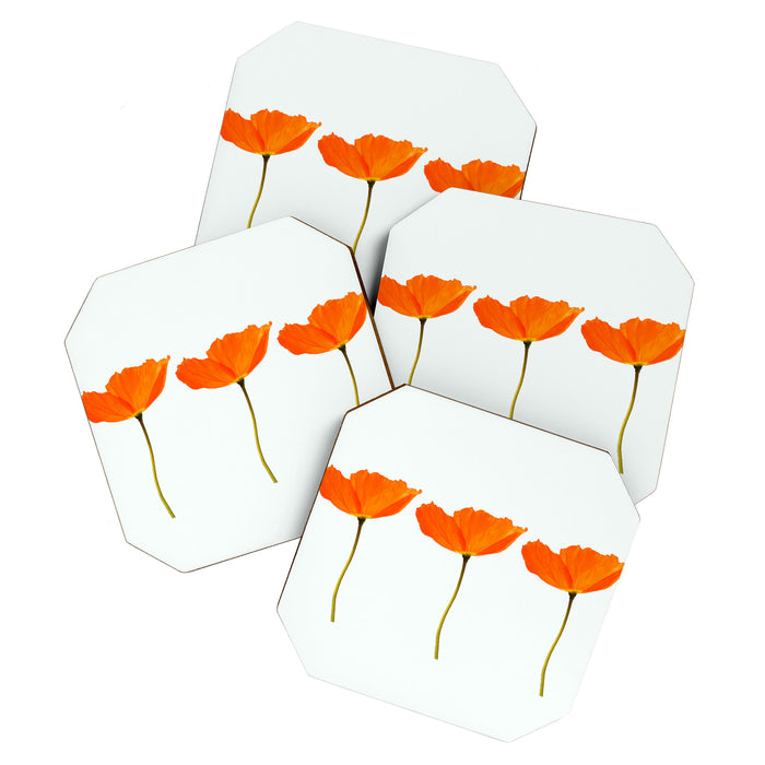 Three Orange Poppy Flowers White Background  Coaster Gallery Image 1