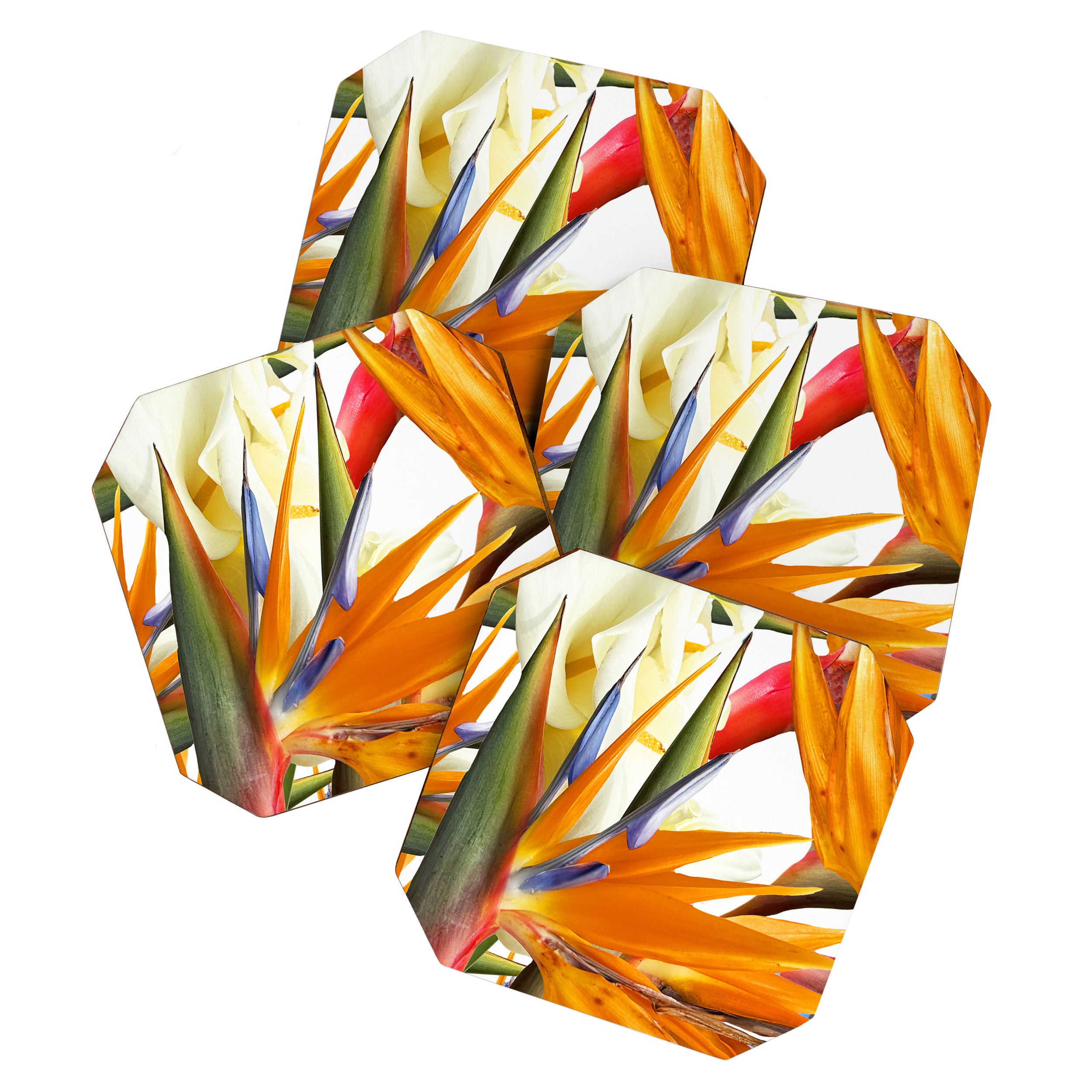 Tropical flowers Coaster Gallery Image 1