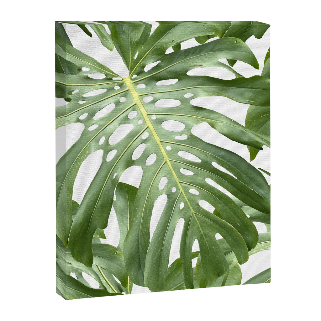 Vibrant tropical foliage on white Canvas Print Gallery Image 8