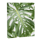 Vibrant tropical foliage on white Canvas Print Gallery Image 8