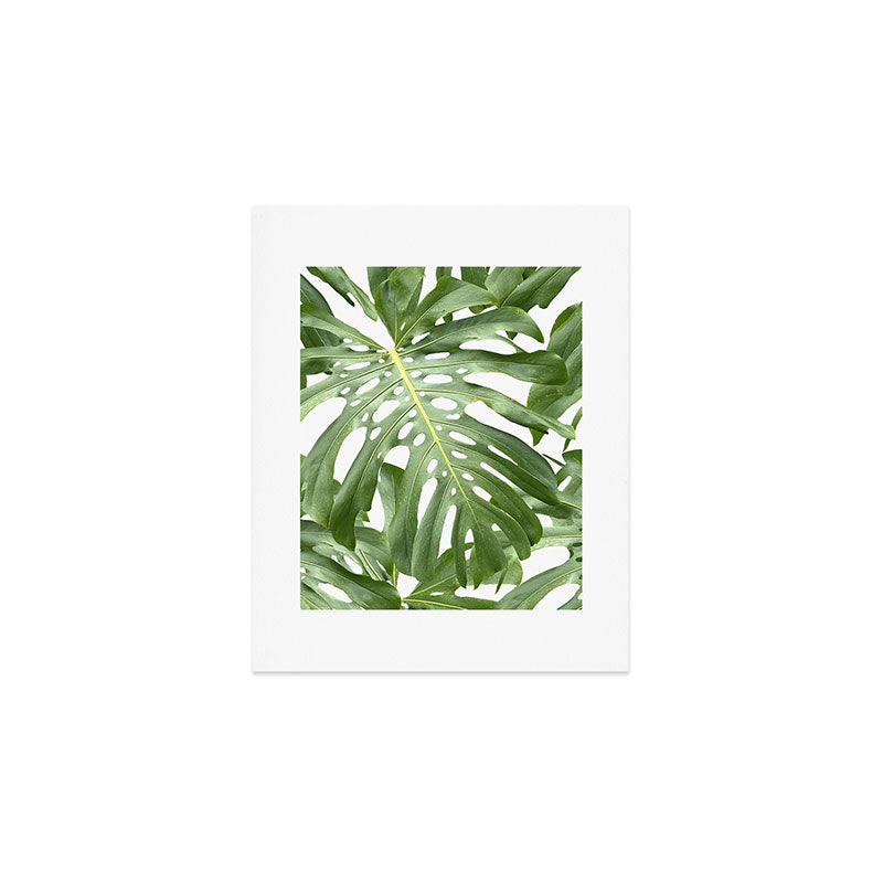 Vibrant tropical foliage on white Art Print Gallery Image 1
