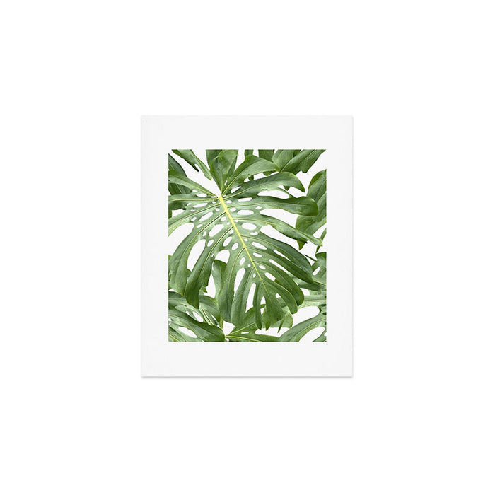Vibrant tropical foliage on white Art Print Gallery Image 1