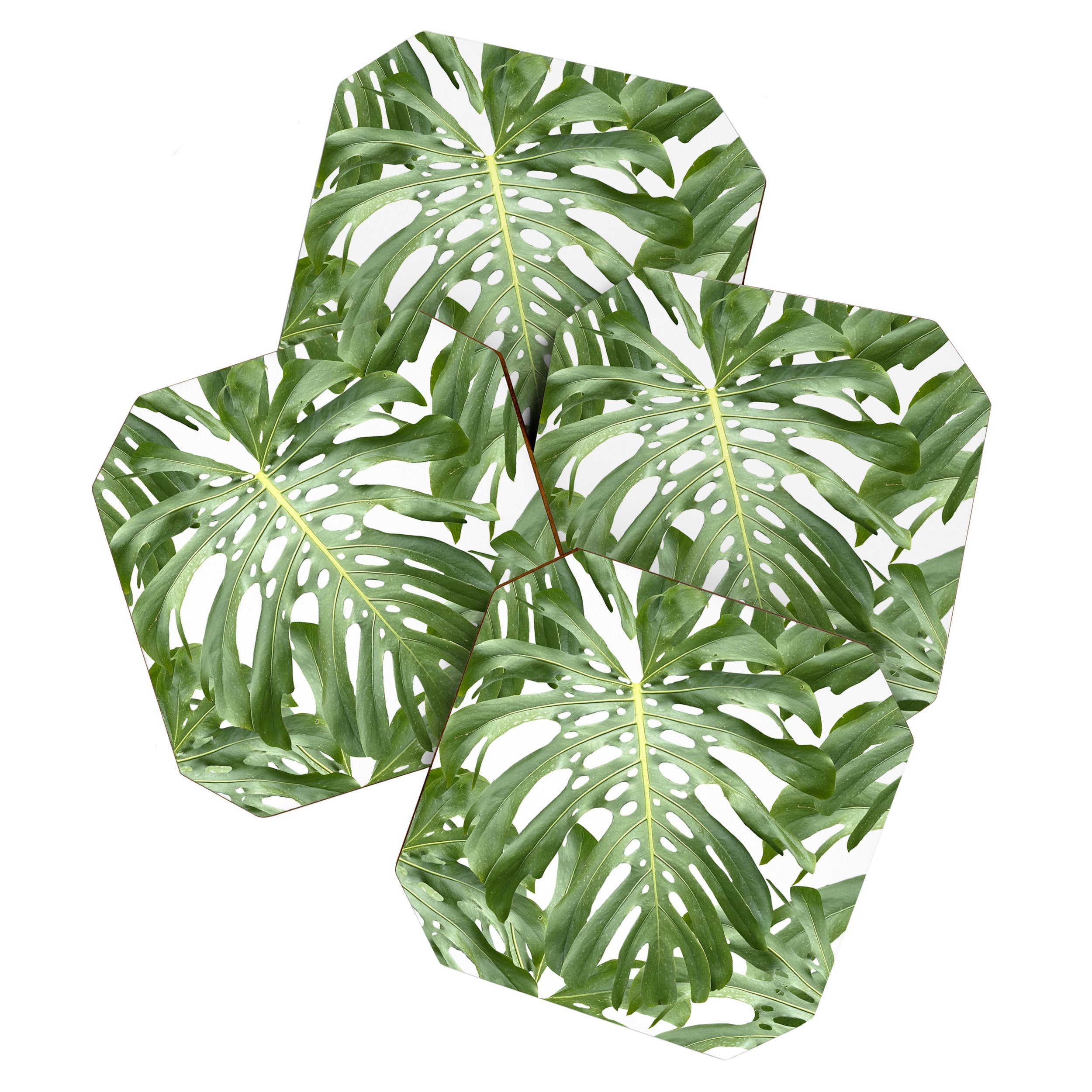 Vibrant tropical foliage on white Coaster Gallery Image 1