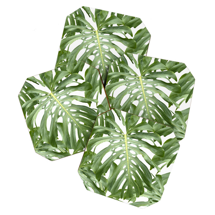 Vibrant tropical foliage on white Coaster Gallery Image 1