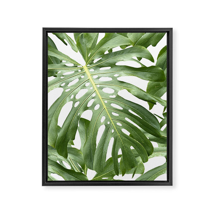 Vibrant tropical foliage on white Framed Canvas Print Gallery Image 1