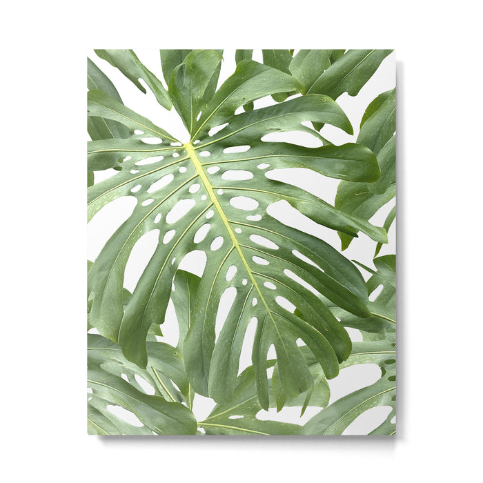 Vibrant tropical foliage on white Metal Print Gallery Image 1