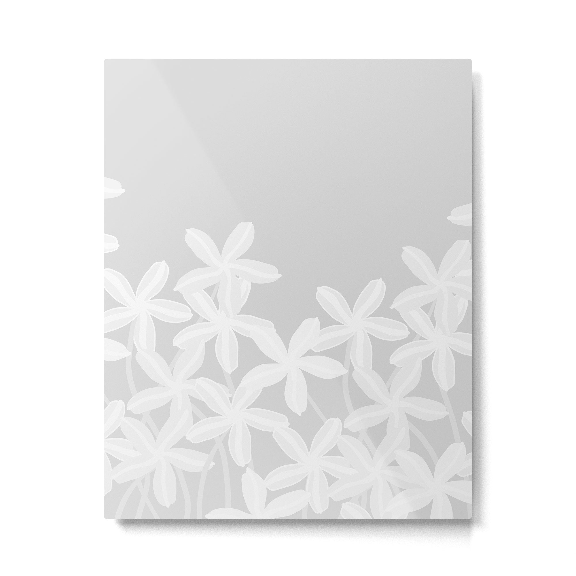 White flowers grey background  Metal Print Gallery Image 6