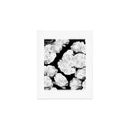 White Peony Flowers Black Background #decor #society6 #buyart Art Print Gallery Image 1