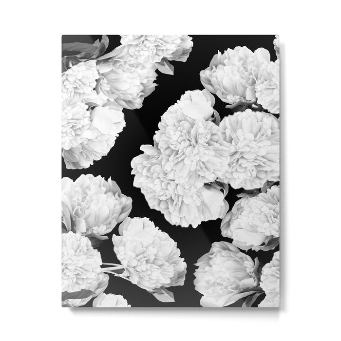 White Peony Flowers Black Background #decor #society6 #buyart Metal Print Gallery Image 1