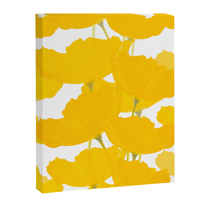 Yellow Mellow Poppies On A White Background #decor #society6 #buyart Canvas Print Gallery Image 1