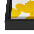 Yellow Mellow Poppies On A White Background #decor #society6 #buyart Framed Canvas Print Gallery Image 3