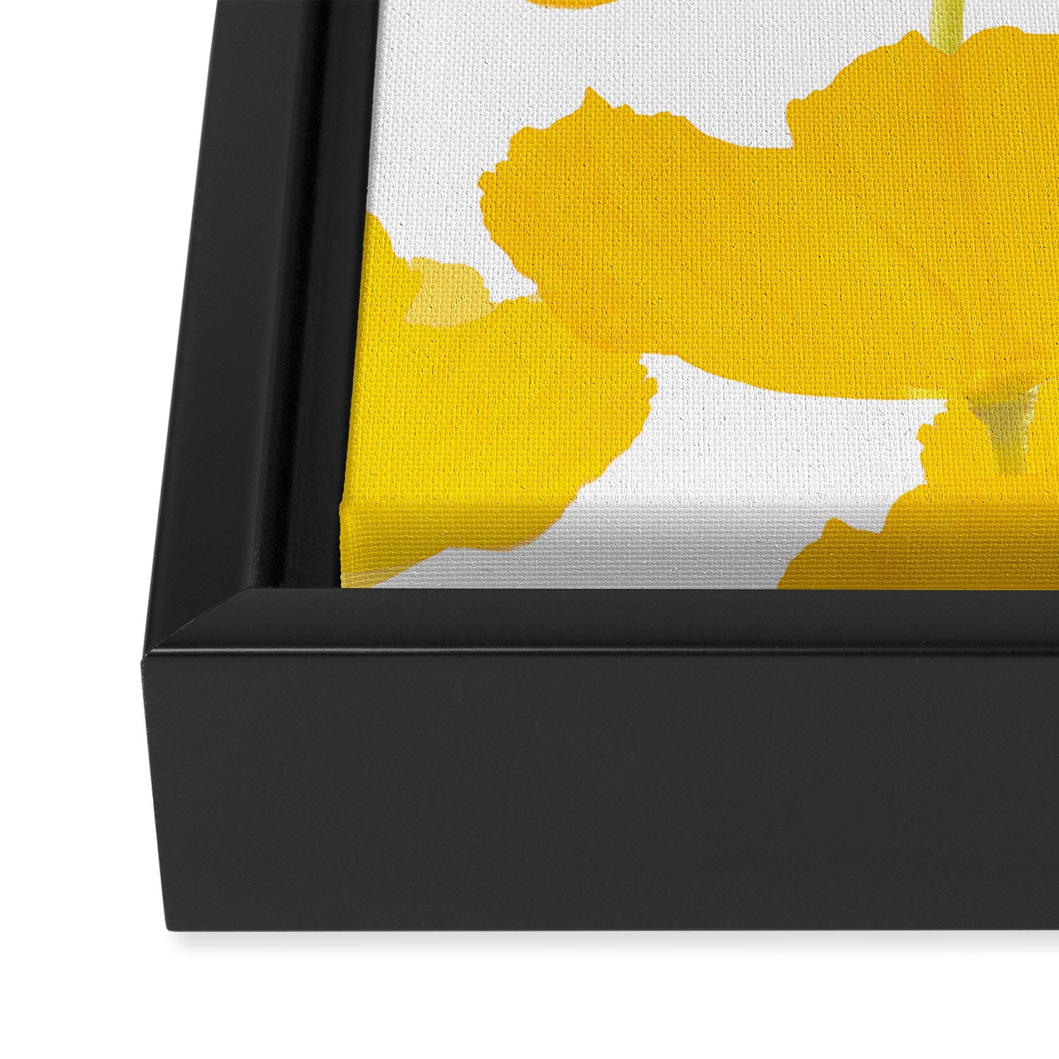 Yellow Mellow Poppies On A White Background #decor #society6 #buyart Framed Canvas Print Gallery Image 3
