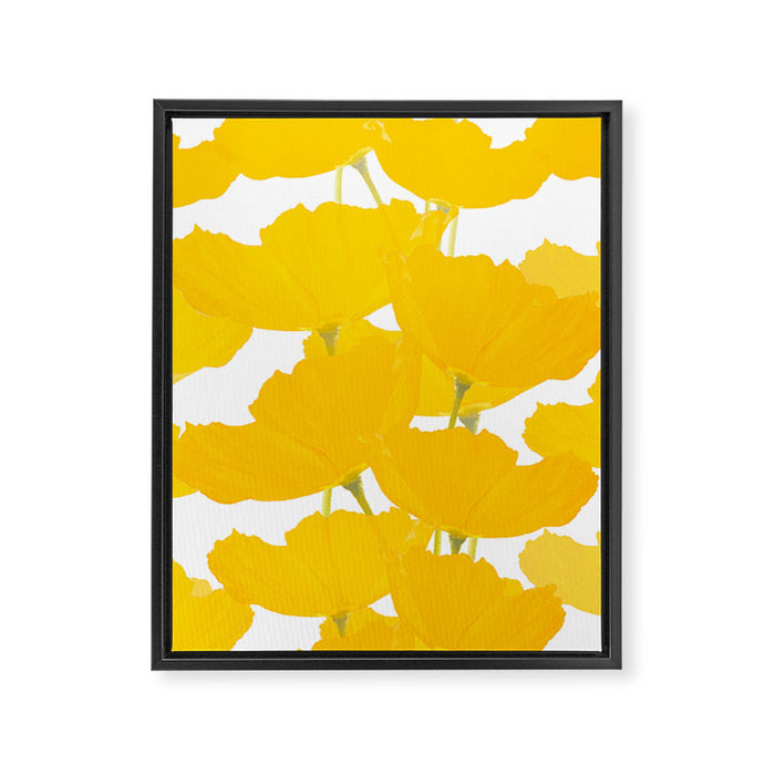 Yellow Mellow Poppies On A White Background #decor #society6 #buyart Framed Canvas Print Gallery Image 1