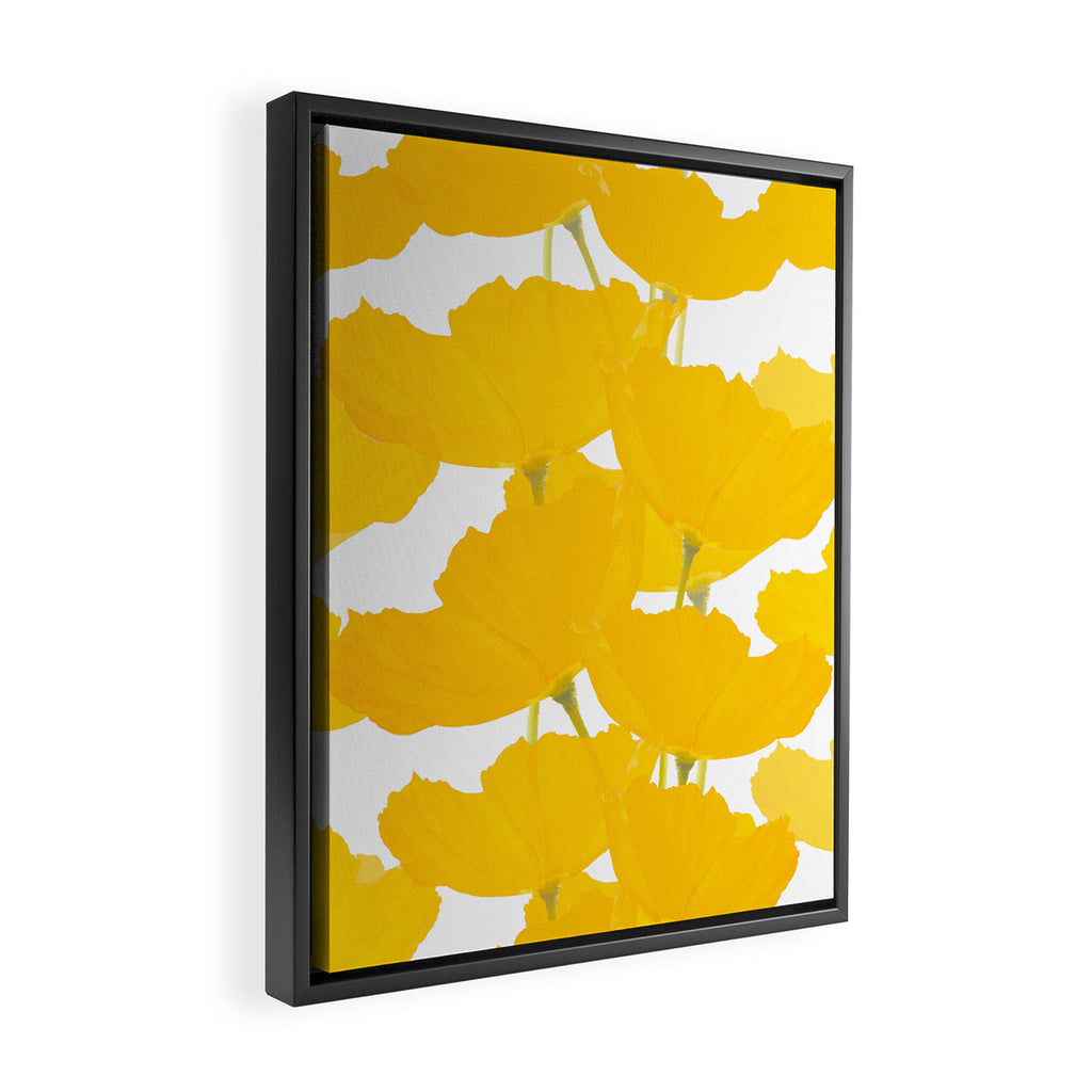 Yellow Mellow Poppies On A White Background #decor #society6 #buyart Framed Canvas Print Gallery Image 2