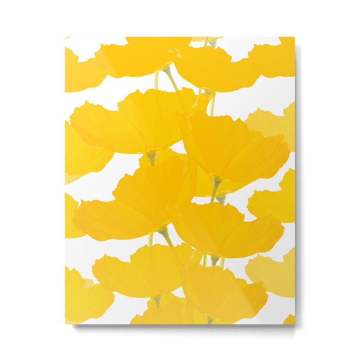 Yellow Mellow Poppies On A White Background #decor #society6 #buyart Metal Print Gallery Image 1