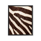 Zebra #decor #society6 #buyart Framed Canvas Print Gallery Image 8