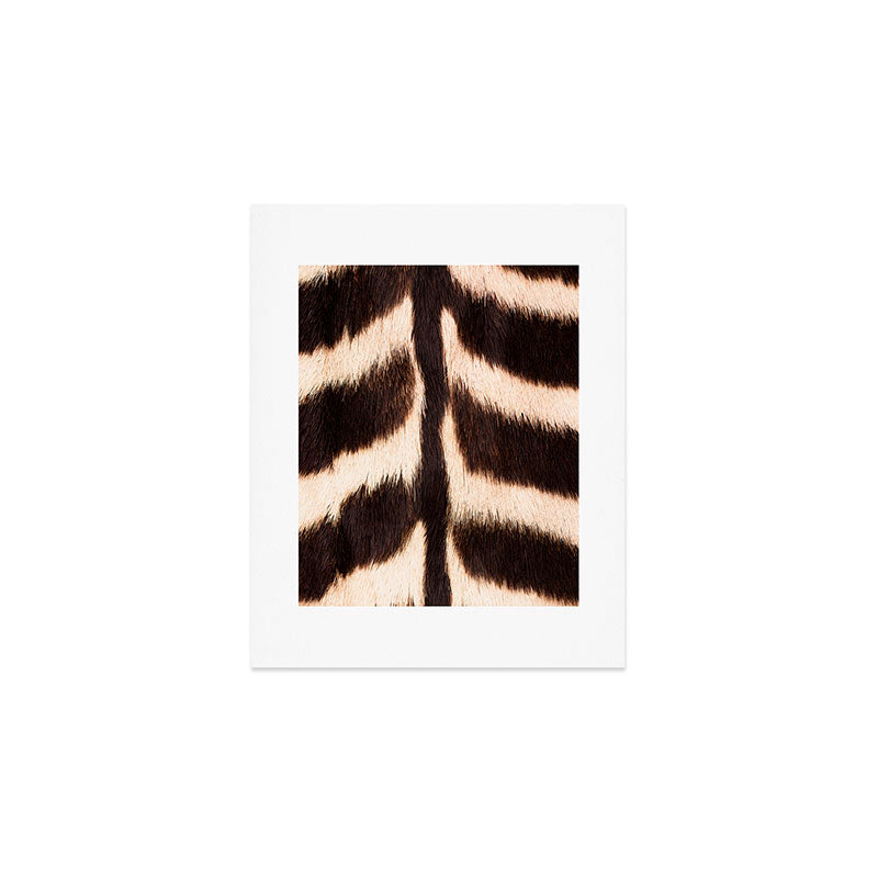 Zebra - zebra stripes -zebra skin - genuine - beautiful  Art Print Gallery Image 1