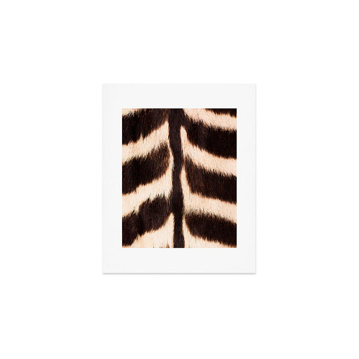 Zebra - zebra stripes -zebra skin - genuine - beautiful  Art Print Gallery Image 1