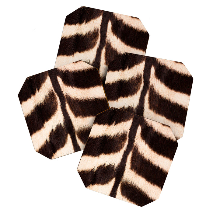 Zebra - zebra stripes -zebra skin - genuine - beautiful  Coaster Gallery Image 1