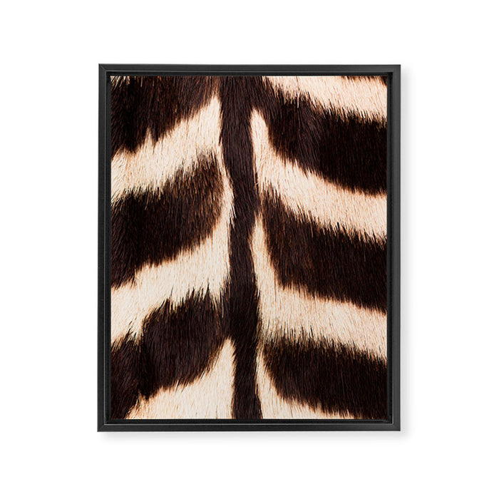 Zebra - zebra stripes -zebra skin - genuine - beautiful  Framed Canvas Print Gallery Image 1