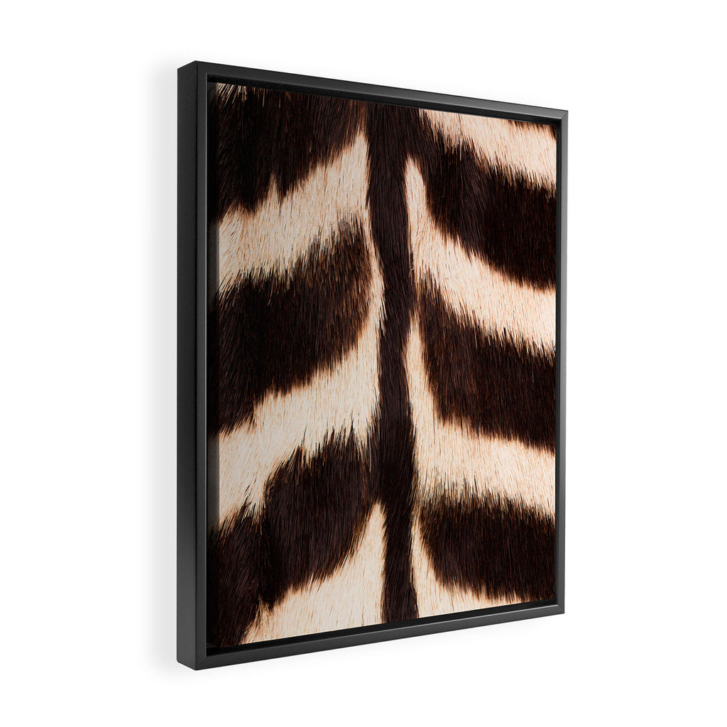 Zebra - zebra stripes -zebra skin - genuine - beautiful  Framed Canvas Print Gallery Image 2