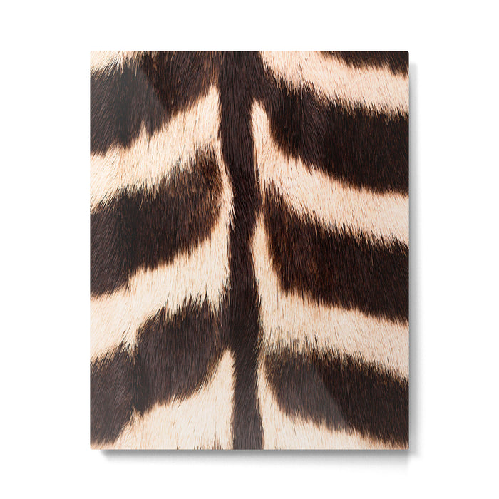 Zebra - zebra stripes -zebra skin - genuine - beautiful  Metal Print Gallery Image 1