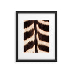 Zebra - zebra stripes -zebra skin - genuine - beautiful  Framed Art Print Gallery Image 6