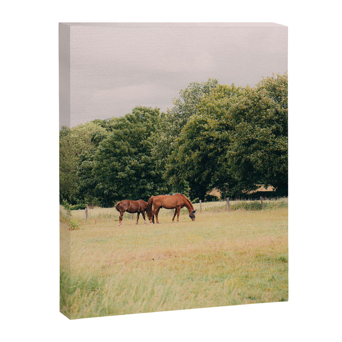 Cotswolds Horses in Rural Pasture Landscape Canvas Print Gallery Image 1